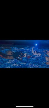 動き出す妖怪展 NAGOYA 〜Imagination of Japan〜に投稿された画像（2025/8/2）