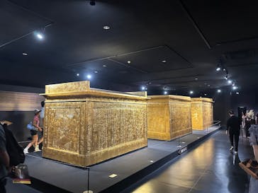 MYSTERY OF TUTANKHAMEN 体感型古代エジプト展に投稿された画像（2025/8/2）
