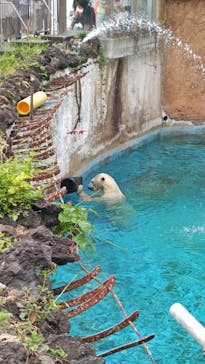 天王寺動物園に投稿された画像（2025/8/2）