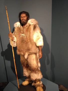 特別展「氷河期展 〜人類が見た4万年前の世界〜」（国立科学博物館）に投稿された画像（2025/8/2）