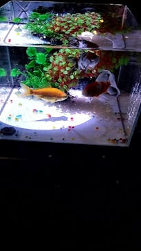 南知多ビーチランド＆南知多おもちゃ王国に投稿された画像（2025/8/2）