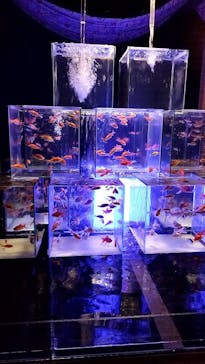 南知多ビーチランド＆南知多おもちゃ王国に投稿された画像（2025/8/2）