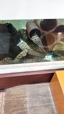 南知多ビーチランド＆南知多おもちゃ王国に投稿された画像（2025/8/2）