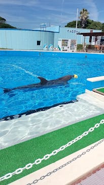 南知多ビーチランド＆南知多おもちゃ王国に投稿された画像（2025/8/2）