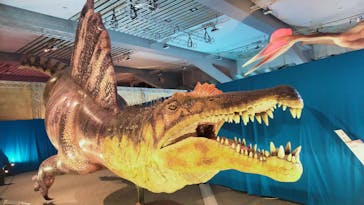 巨大恐竜展2025に投稿された画像（2025/8/2）