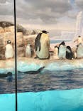 名古屋港水族館に投稿された画像（2025/8/2）