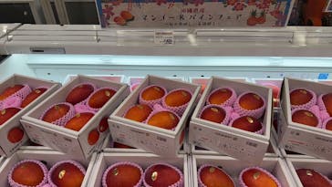 アソビュー！ポイントに投稿された画像（2025/8/2）