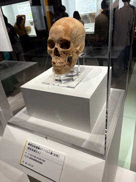 特別展「古代DNA－日本人のきた道」（国立科学博物館）に投稿された画像（2025/8/2）