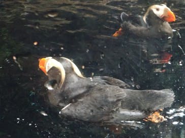 葛西臨海水族園に投稿された画像（2025/8/2）