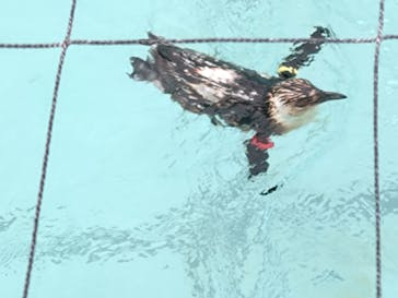 葛西臨海水族園に投稿された画像（2025/8/2）