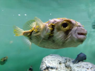 葛西臨海水族園に投稿された画像（2025/8/2）
