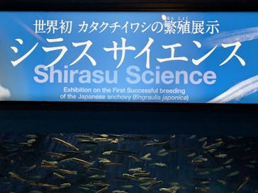 新江ノ島水族館に投稿された画像（2025/8/2）