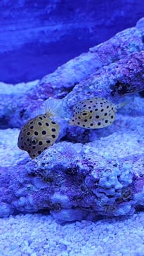 遊べる水族園に投稿された画像（2025/8/2）