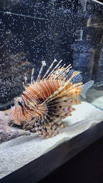 遊べる水族園に投稿された画像（2025/8/2）