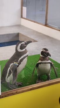 遊べる水族園に投稿された画像（2025/8/2）