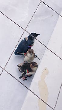 葛西臨海水族園に投稿された画像（2025/8/2）