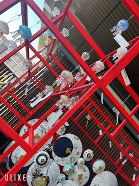 京都水族館に投稿された画像（2025/8/2）