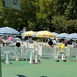 しらこばと水上公園（埼玉県公園緑地協会）に投稿された画像（2025/8/2）