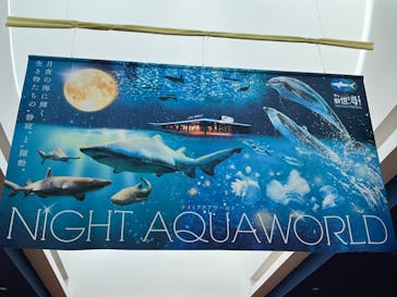 アクアワールド茨城県大洗水族館に投稿された画像（2025/8/2）