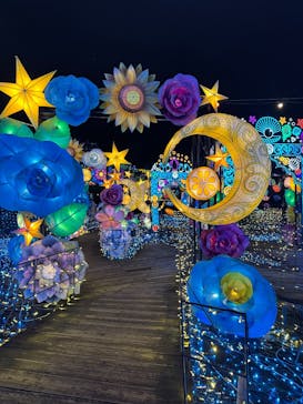 伊豆高原グランイルミに投稿された画像（2025/8/2）