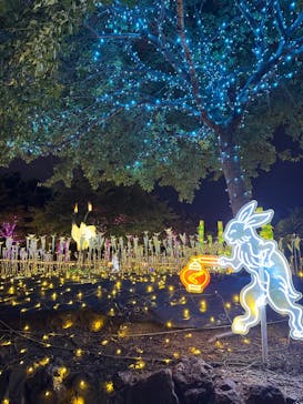 伊豆高原グランイルミに投稿された画像（2025/8/2）