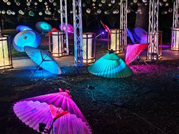 江の島シーキャンドルに投稿された画像（2025/8/2）