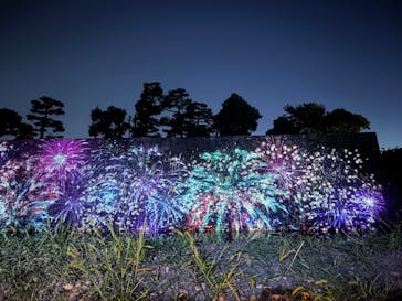 NAKED meets 二条城 2025 観月に投稿された画像（2025/8/2）