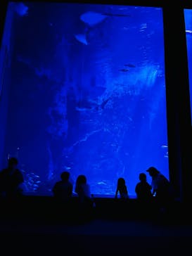 マリンワールド海の中道に投稿された画像（2025/8/2）