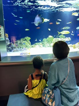 マリンワールド海の中道に投稿された画像（2025/8/2）