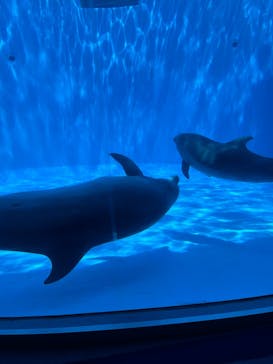 名古屋港水族館に投稿された画像（2025/8/2）
