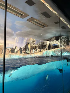 名古屋港水族館に投稿された画像（2025/8/2）