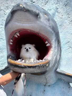 南知多ビーチランド＆南知多おもちゃ王国に投稿された画像（2025/8/2）