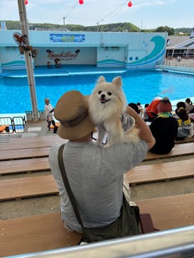 南知多ビーチランド＆南知多おもちゃ王国に投稿された画像（2025/8/2）