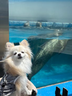 南知多ビーチランド＆南知多おもちゃ王国に投稿された画像（2025/8/2）