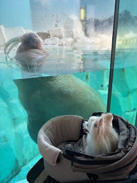 南知多ビーチランド＆南知多おもちゃ王国に投稿された画像（2025/8/2）