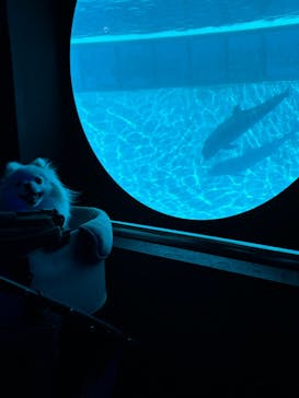 南知多ビーチランド＆南知多おもちゃ王国に投稿された画像（2025/8/2）