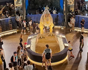 福井県立恐竜博物館に投稿された画像（2025/8/2）