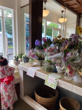 江戸東京たてもの園に投稿された画像（2025/8/2）