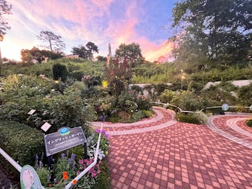 西武園ゆうえんちに投稿された画像（2025/8/2）