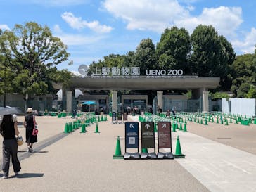 恩賜上野動物園に投稿された画像（2025/8/2）