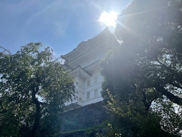 小田原城に投稿された画像（2025/8/2）