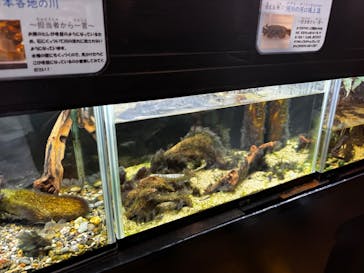 竹島水族館に投稿された画像（2025/8/2）