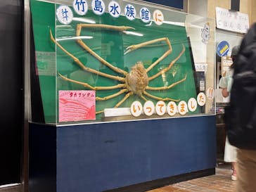 竹島水族館に投稿された画像（2025/8/2）