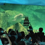 名古屋港水族館に投稿された画像（2025/8/3）