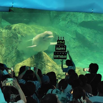 名古屋港水族館に投稿された画像（2025/8/2）