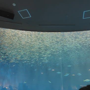 名古屋港水族館に投稿された画像（2025/8/2）