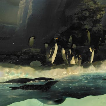 名古屋港水族館に投稿された画像（2025/8/2）