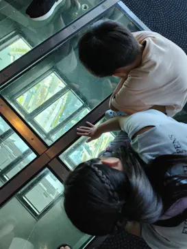 東京スカイツリーに投稿された画像（2025/8/2）