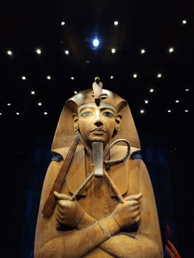 ACN ラムセス大王展 ファラオたちの黄金に投稿された画像（2025/8/2）