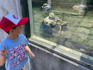 体感型動物園iZooに投稿された画像（2025/8/2）